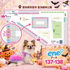 「10/3・4はわんだらけに出店します🐶」