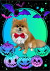 「Dog salon mofu mofu　余市町」