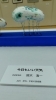 今日もいい天気「今日もいい天気」