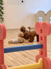 オモチャが欲しくて兄弟で協力してる綺羅＆仁姜くん「ましゅまろ幼稚園　パート２」