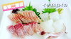【豪華二種盛】【2人前 500円(税込)】「○本日のお刺身【定置もん】【島根県産イサキ、白イカ】」