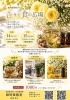 薬膳とエッセンシャルオイルの学びです「6月イベント情報 銀時薬膳堂  講座・薬膳・アロマ」