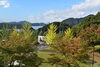 紅葉の様子「舞鶴市が管理する[公園アンケート]を10/31まで実施中です！」