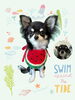 「Dog salon mofu mofu　余市町」