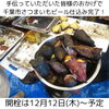 さつまいもビールどんな味わいになるか！？「12月1日(日)は稲毛東公園のイベントに出店予定！（稲毛のクラフトビール醸造所）」