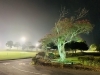 「【ナイター🌃】フィールドレッスン開催⛳️」