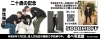 備北民報にも広告を出してます♪　「二十歳の思い出を写真で残そう！成人式キャンペーン♪　」