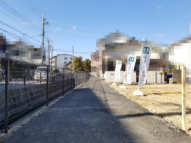 前面道路を南から「当社売主の土地（建築条件無しの更地）です」