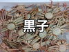 「営業中でーす」