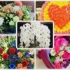 明石市・神戸市西区の街のお花屋さん！