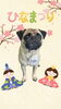 「Dog salon mofu mofu　余市町」