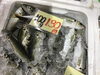 「魚魚市場鮮魚コーナーおすすめは「スズキ・トビウオ」です♪」