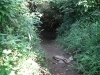 獣道は下の広場まで
続いているそうです。