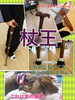 「杖の王様！？　【杖王】」