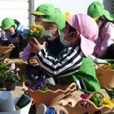 行方市立麻生幼稚園で「花育体験教室」が開催されました！