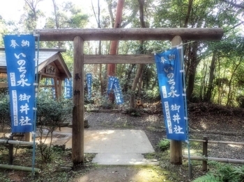 緑の中の細い道を進むと鳥居が見えてきます。