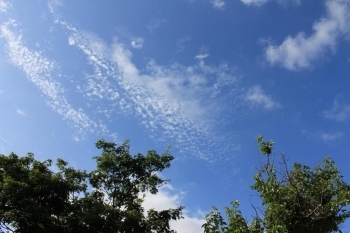 坂道の途中、ふと頭上を見上げれば夏の空