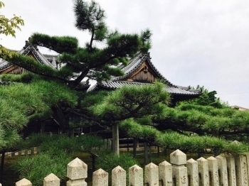 尾上の松・尾上神社