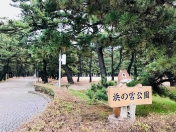 加古の浜松・浜宮天神社