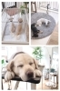 リラックスした寛ぎ空間でわんちゃんもうっとり♪「DOG SALON SHIRO（ドッグサロンシロ）」