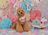 立くん「Anniversary photo　(^O^)」