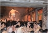 陽 西大寺 会