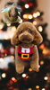 「Dog salon mofu mofu　余市町」