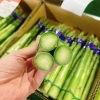 「「岩手県産　アスパラガス」　が出荷されましたー♪♪」