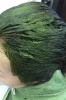 京都宇治茶を100％使用した特許取得の白髪染めです「GREATES GROUND kaui」