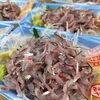 「夏の魚？どちらかというと秋や冬のイメージのこの魚はコノシロ🐟️【コハダ】」