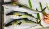 「魚魚市場鮮魚コーナーおすすめは「アマダイ・アジ」です♪」