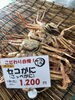 「京丹後の冬を締めくくる！今季の「食べ納めに」味わいたいセコがにと厳選地酒」