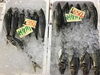 「魚魚市場鮮魚コーナーおすすめは「シマアジ・地タコ」です♪」