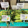 「信州りんご『秋映』入荷しました！道の駅木曽福島」