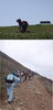 「子ども自然体験プログラム／「自転車旅行」、「伊吹山1377ｍ」」