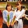 春です！　春を代表する花といえば・・・