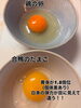 鶏の卵と合鴨の卵「2月17日より営業再開します！」