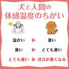 犬と人間の温度の違い「犬の暑いサインを見逃さないで！」