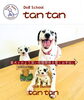 犬が好きで好きで仕方ない方の募集です「明石市田町【Dog School tantan】さんで ドッグトレーナー正社員募集‼️」