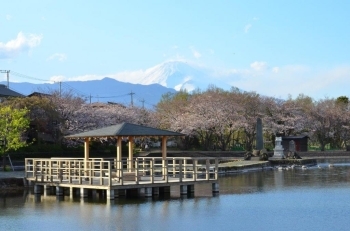 富士山がバックに！