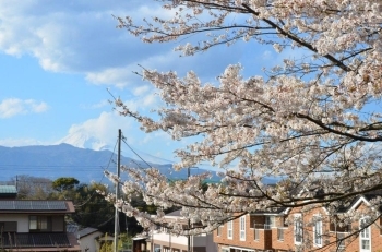 富士山が見えるんです