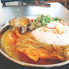 これぞスパイスパワー！　本格スリランカカレーを堪能『SPICE ONION（スパイスオニオン）』【宮崎エリア】
