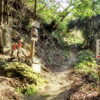 春の自然を満喫！熊野古道ちょっと歩き ｜海南市藤白