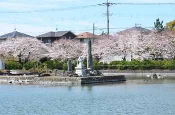 奥から見た丸池公園