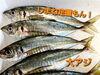 「今晩は、新鮮で美味しいお刺身を是非‼️」