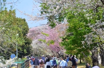 大勢の人が訪れていました