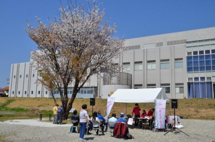 「半兵衛白紅桜（はんべいしろべにざくら）」の隣で「ボイス・キュー」公開生放送！