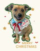 「Dog salon mofu mofu　余市町」