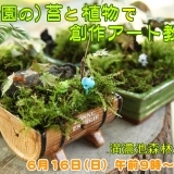 満濃池森林公園　苔と植物で創作アート教室2019