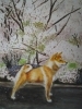 「一般科生徒作品　｢犬と桜の木」」